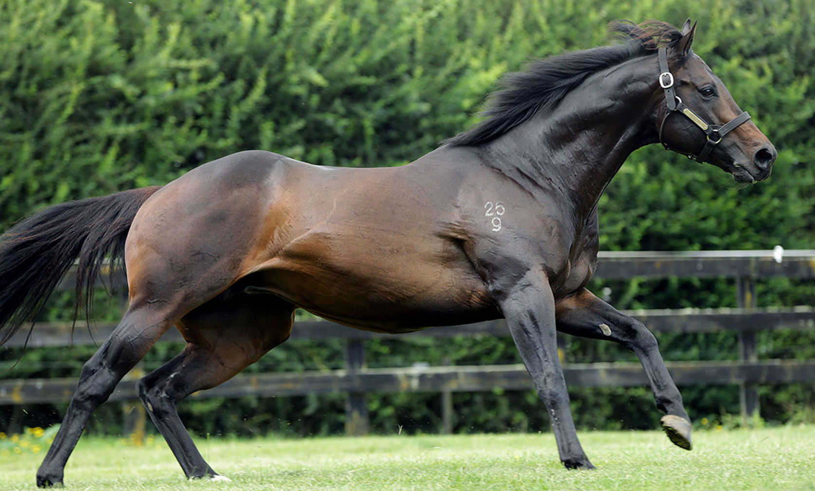 CatWalk Events - Proisir